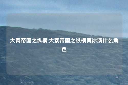 大秦帝国之纵横,大秦帝国之纵横何冰演什么角色