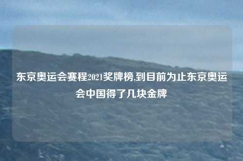 东京奥运会赛程2021奖牌榜,到目前为止东京奥运会中国得了几块金牌