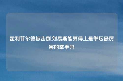 霍利菲尔德被击倒,刘易斯能算得上是拳坛最厉害的拳手吗