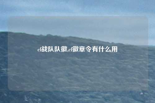 cf战队队徽,cf徽章令有什么用