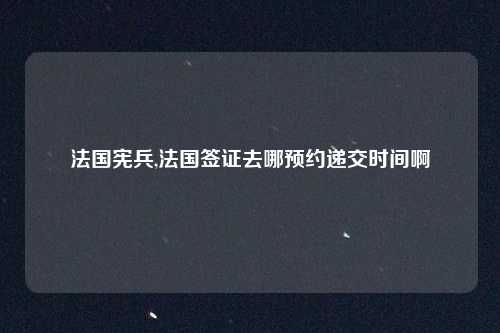 法国宪兵,法国签证去哪预约递交时间啊