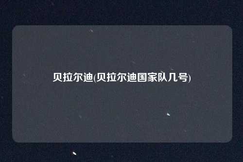 贝拉尔迪(贝拉尔迪国家队几号)