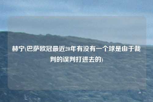 赫宁(巴萨欧冠最近20年有没有一个球是由于裁判的误判打进去的)