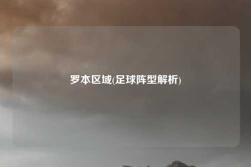罗本区域(足球阵型解析)