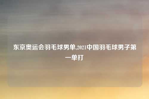 东京奥运会羽毛球男单,2021中国羽毛球男子第一单打