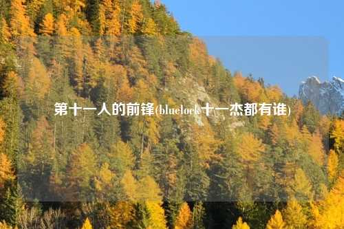 第十一人的前锋(bluelock十一杰都有谁)