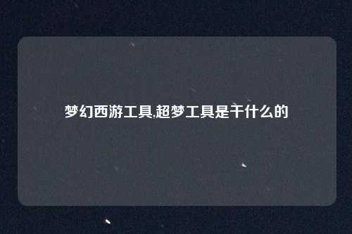 梦幻西游工具,超梦工具是干什么的