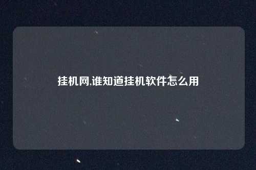 挂机网,谁知道挂机软件怎么用