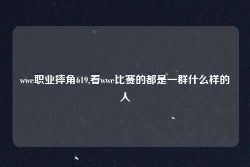 wwe职业摔角619,看wwe比赛的都是一群什么样的人