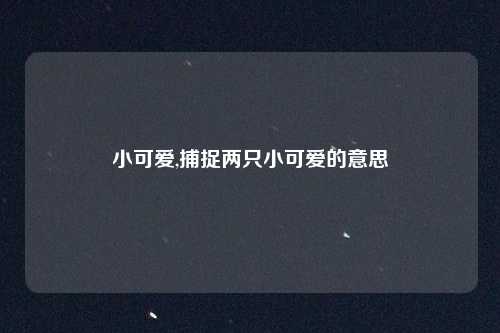 小可爱,捕捉两只小可爱的意思