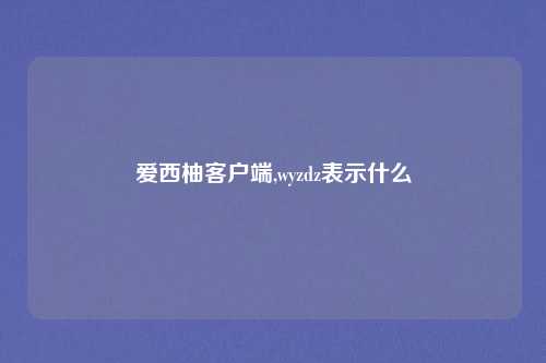 爱西柚客户端,wyzdz表示什么