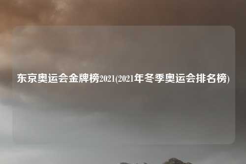 东京奥运会金牌榜2021(2021年冬季奥运会排名榜)