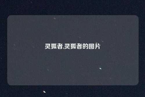 灵狐者,灵狐者的图片