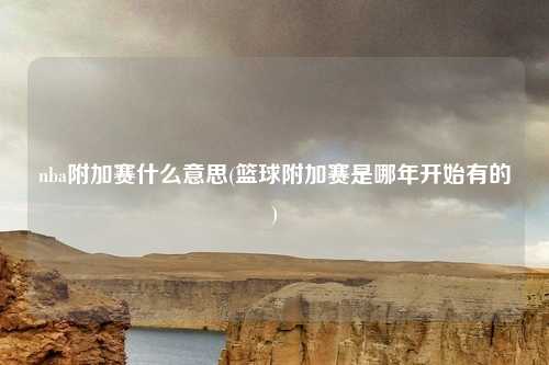 nba附加赛什么意思(篮球附加赛是哪年开始有的)