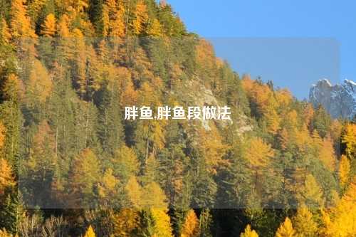 胖鱼,胖鱼段做法