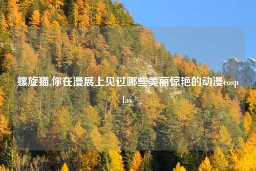 螺旋猫,你在漫展上见过哪些美丽惊艳的动漫cosplay