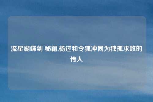流星蝴蝶剑 秘籍,杨过和令狐冲同为独孤求败的传人