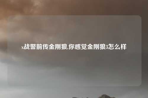 x战警前传金刚狼,你感觉金刚狼3怎么样