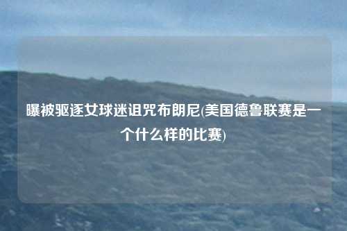 曝被驱逐女球迷诅咒布朗尼(美国德鲁联赛是一个什么样的比赛)