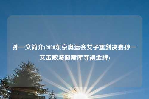 孙一文简介(2020东京奥运会女子重剑决赛孙一文击败波佩斯库夺得金牌)