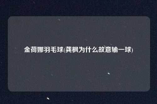 金荷娜羽毛球(龚枫为什么故意输一球)