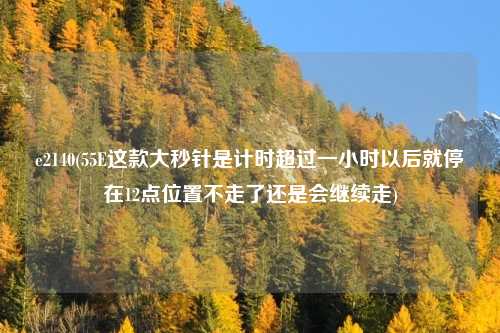 e2140(55E这款大秒针是计时超过一小时以后就停在12点位置不走了还是会继续走)