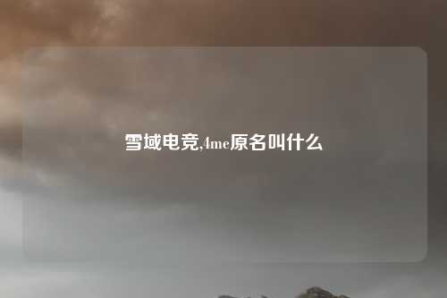 雪域电竞,4me原名叫什么