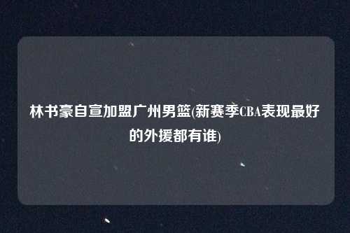 林书豪自宣加盟广州男篮(新赛季CBA表现最好的外援都有谁)