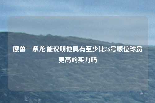 魔兽一条龙,能说明他具有至少比36号顺位球员更高的实力吗