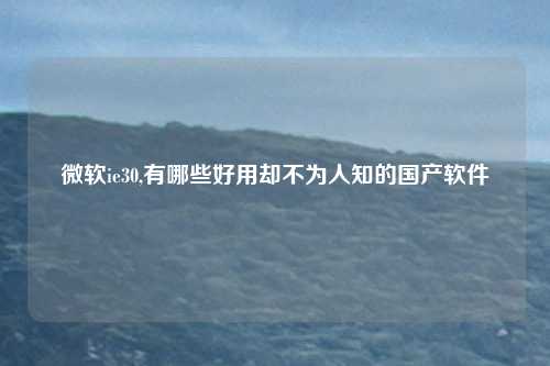 微软ie30,有哪些好用却不为人知的国产软件