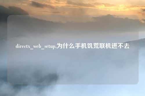 directx_web_setup,为什么手机饥荒联机进不去