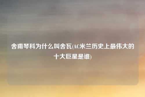 舍甫琴科为什么叫舍瓦(AC米兰历史上最伟大的十大巨星是谁)