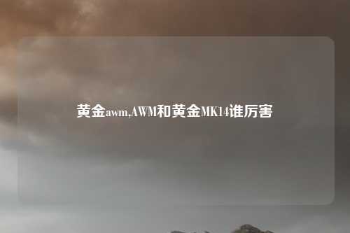 黄金awm,AWM和黄金MK14谁厉害