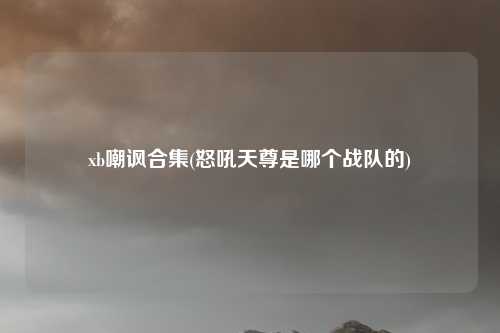 xb嘲讽合集(怒吼天尊是哪个战队的)