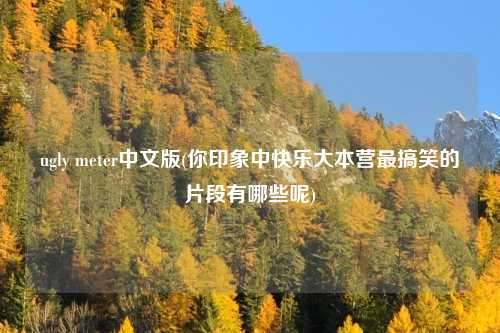 ugly meter中文版(你印象中快乐大本营最搞笑的片段有哪些呢)