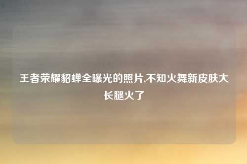 王者荣耀貂蝉全曝光的照片,不知火舞新皮肤大长腿火了