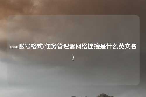 msn账号格式(任务管理器网络连接是什么英文名)