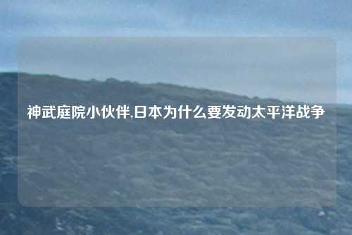 神武庭院小伙伴,日本为什么要发动太平洋战争