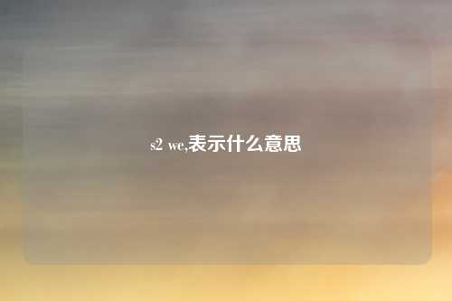 s2 we,表示什么意思