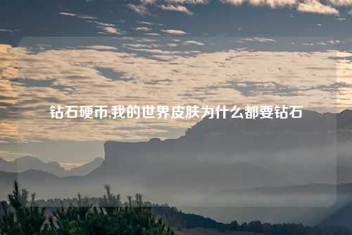 钻石硬币,我的世界皮肤为什么都要钻石