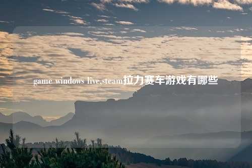 game windows live,steam拉力赛车游戏有哪些