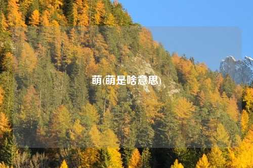 萌(萌是啥意思)