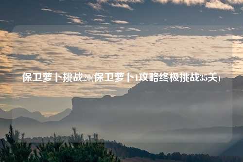 保卫萝卜挑战20(保卫萝卜1攻略终极挑战35关)