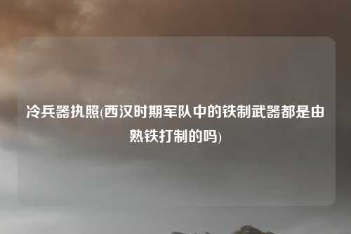 冷兵器执照(西汉时期军队中的铁制武器都是由熟铁打制的吗)