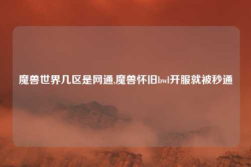 魔兽世界几区是网通,魔兽怀旧bwl开服就被秒通