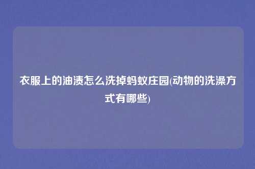 衣服上的油渍怎么洗掉蚂蚁庄园(动物的洗澡方式有哪些)