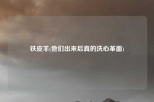 铁皮羊(他们出来后真的洗心革面)