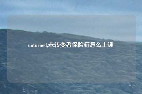 unturned,未转变者保险箱怎么上锁