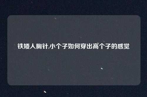 铁矮人胸针,小个子如何穿出高个子的感觉