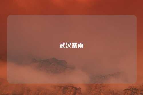 武汉暴雨